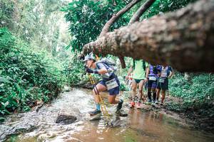 BIB: 
                            <button type="button" onclick="openModal(25375129)" class="btn btn-primary btn-sm float-right btn-popup" data-toggle="modal" data-target=".modal-high-quality">
                        <i class="fas fa-shopping-cart"></i> Add to Cart
                    </button>
                                            <button type="button" onclick="isThisMe(25375129, true)" class="btn btn-success btn-sm float-right btn-popup btn-isme hidden" data-toggle="tooltip" data-placement="bottom" title="นี่คือรูปของคุณใช่ไหม คลิกที่นี่เพื่อเอาเข้าอัลบั้ม">
                        <i class="fas fa-plus"></i> Add to album
                    </button>
                    <button type="button" onclick="isThisMe(25375129, false)" class="btn btn-warning btn-sm float-right btn-popup btn-isnotme hidden">
                        <i class="fas fa-ban"></i> Remove from album
                    </button>